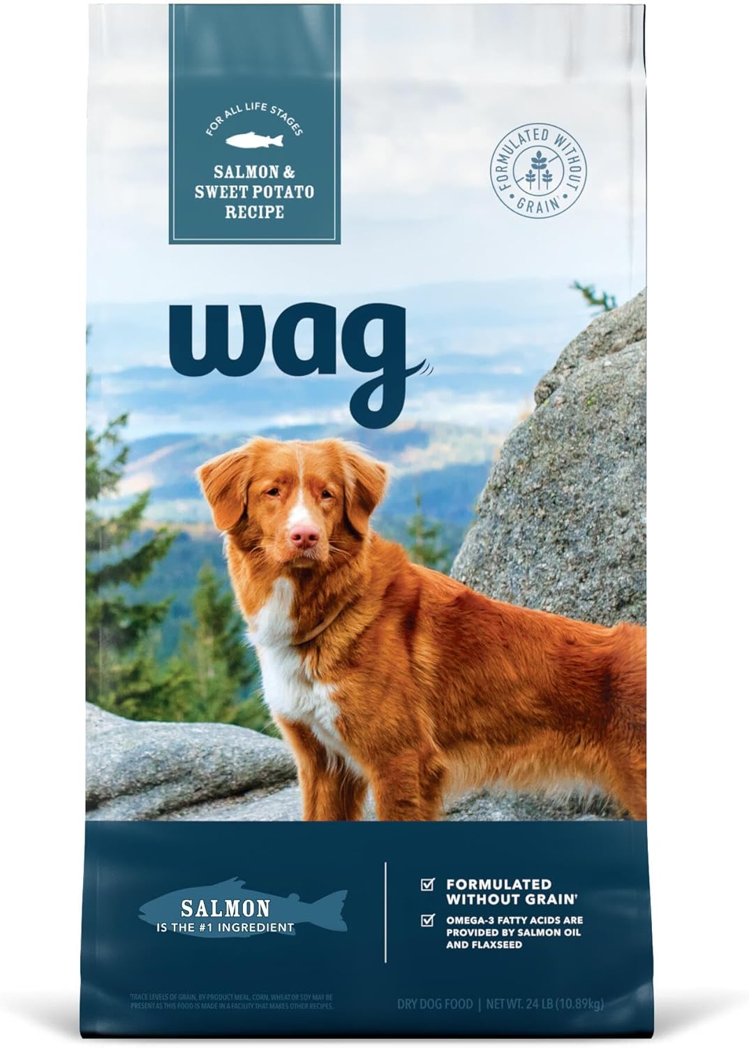 Wag Dry Dog Food, Salmon & Sweet Potato, Grain Free, 24 lb Bag