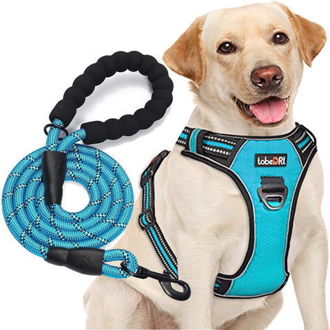 No-Pull Dog Harness & Leash Set – Reflective, Adjustable – for Medium/Large Dogs
