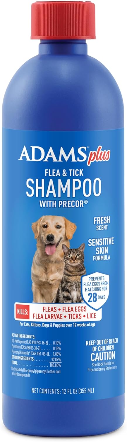 Earthbath Oatmeal & Aloe Flea & Tick Shampoo for Dogs & Cats – Kills Fleas, Eggs, Ticks – 12oz
