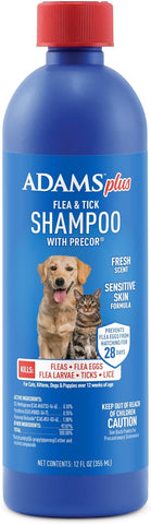 Earthbath Oatmeal & Aloe Flea & Tick Shampoo for Dogs & Cats – Kills Fleas, Eggs, Ticks – 12oz