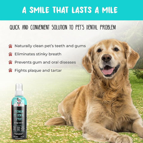 HICC PET Dog Eye Drops – 5.1 fl oz – Vet-Recommended for Infections & Allergies