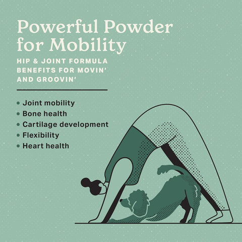 The Missing Link Hip & Joint Powder – with Probiotics – 1lb for Dog Mobility