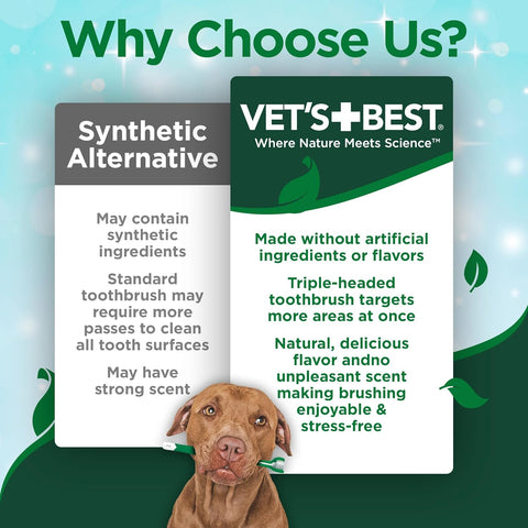 Vet's Best Dog Dental Kit – Toothpaste & Brush, Plaque Remover, Whitens Teeth