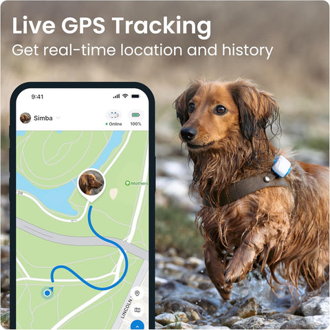 Tractive GPS Dog Tracker – Real-Time Location & Health Alerts – Collar Attachment