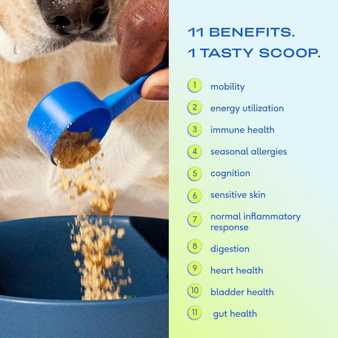 Native Pet 11-in-1 Dog Multivitamin – 60 Scoops – with 21 Supplements