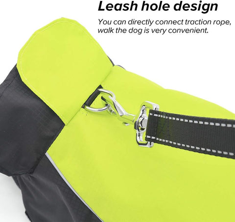 Vizpet Dog Raincoat – Waterproof, High-Visibility – Small to Large Dogs