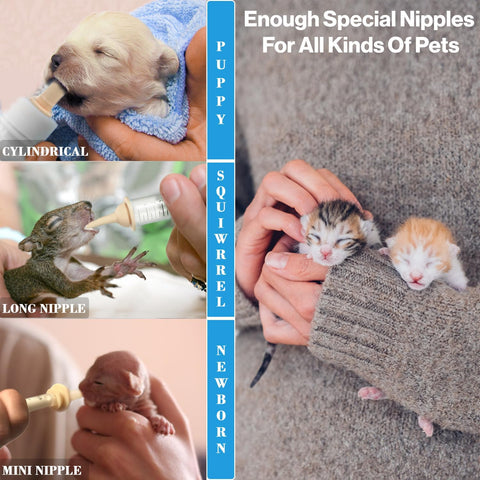Kitten Bottle Feeding Kit with Nipples & Syringes for Newborn Pets