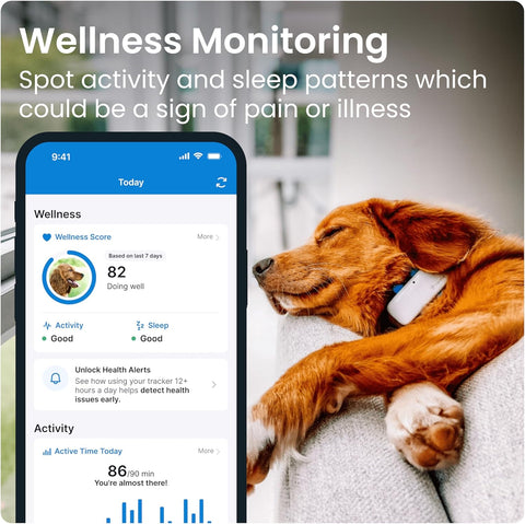 Tractive GPS Dog Tracker – Real-Time Location & Health Alerts – Collar Attachment