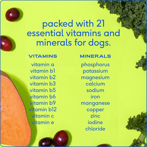 Native Pet 11-in-1 Dog Multivitamin – 60 Scoops – with 21 Supplements