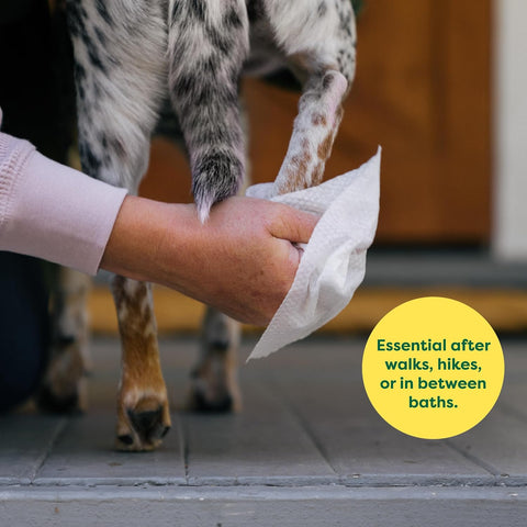 Earth Rated Dog Wipes – Hypoallergenic, Lavender, 400ct – Paws, Body & Butt