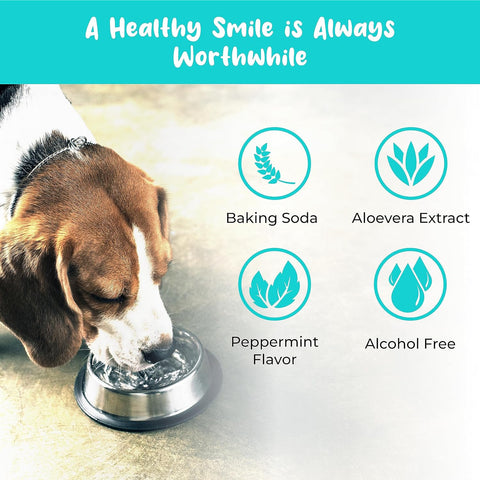 HICC PET Dog Eye Drops – 5.1 fl oz – Vet-Recommended for Infections & Allergies