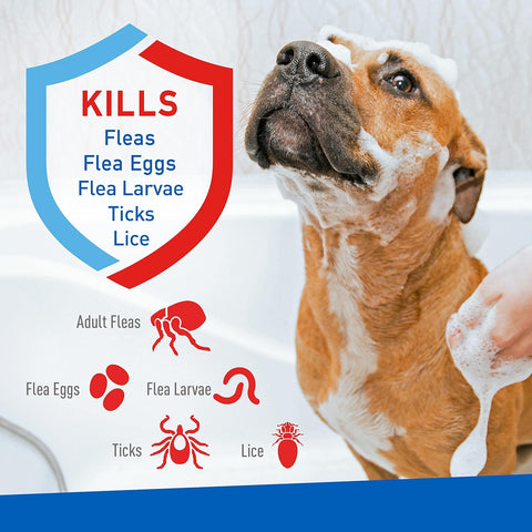 Earthbath Oatmeal & Aloe Flea & Tick Shampoo for Dogs & Cats – Kills Fleas, Eggs, Ticks – 12oz