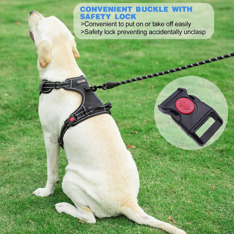 No-Pull Dog Harness & Leash Set – Reflective, Adjustable – for Medium/Large Dogs